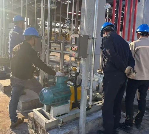 Pompa Kimia: "Pahlawan Tak Terlihat" dalam Proyek Produk Antara Farmasi